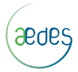 aedes